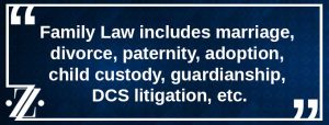 Zentz family law quote DCS